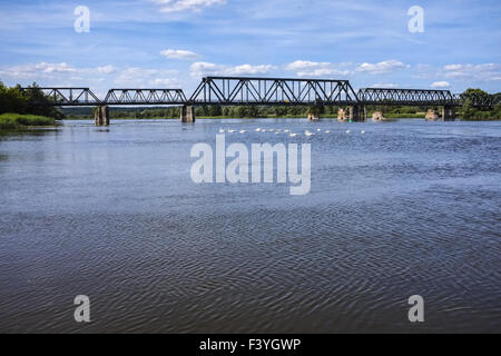 Verlassene Eisenbahnbrücke über den Fluss Oder Stockfoto