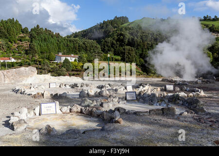 Viele Geysire, heiße Quellen und Fumarolen verstreut in der zentrale Dorf Furnas, São Miguel, Azoren Stockfoto