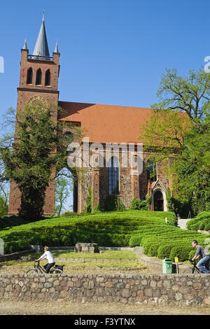 Pfarrkirche St. Marien in Müncheberg Stockfoto