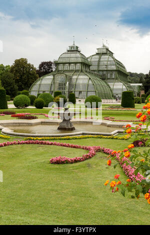 Palm House Schloss Schönbrunn, Vienna Stockfoto