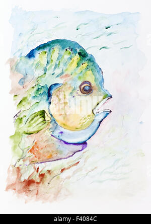 Coral Sea Fish - Papagei Stockfoto