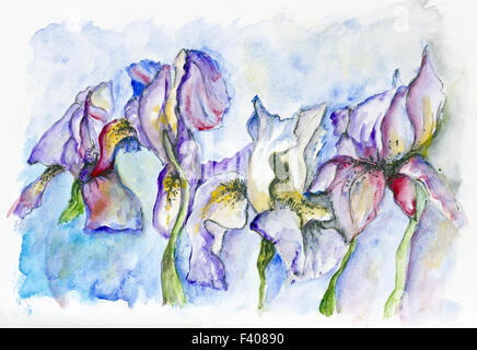 Sanfte Iris Blumen Stockfoto