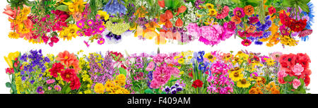 Fantastische floralen Grenzen Stockfoto