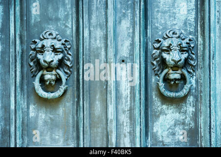 Lion Türgriffe Stockfoto