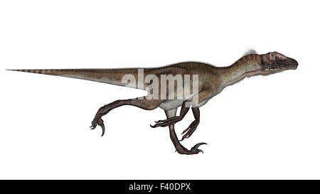 Utahraptor Dinosaurier laufen - 3D render Stockfoto