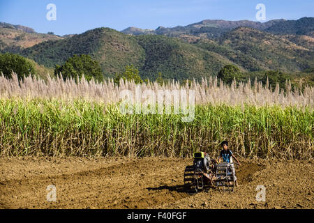 Junge mit zwei-Rad-Schlepper, Myanmar Stockfoto