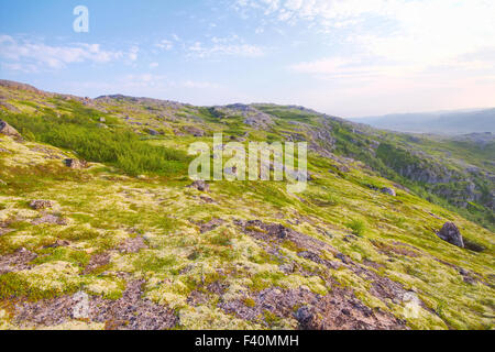 Polar Hügel skandinavischen Tundra im Sommer Stockfoto