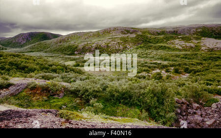 Polar Hügel skandinavischen Tundra im Sommer Stockfoto