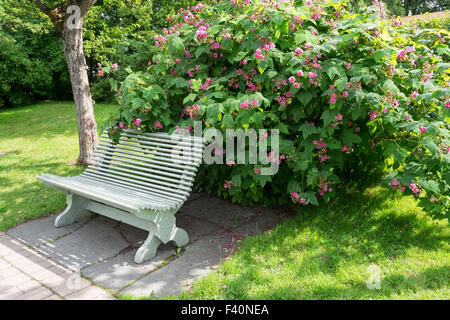 Einsame Bank im Sommerpark Stockfoto