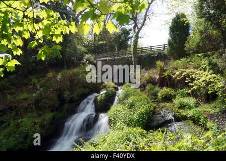 Fließenden Wasserfall bei Rouken Glen Park wie ein Märchen, Wasser unter der Brücke und nach unten fließende Steine mit Gras und Büschen auf beiden Seiten Stockfoto