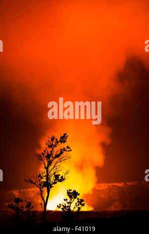 Baum in der Silhouette bei Dämmerung, glühende Lava, Kilaueea Caldera Vulkan, Hawai ' i Volcanoes National Park, Big Island, Hawaii, USA Stockfoto