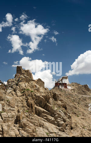 Indien, Jammu & Kashmir, Ladakh, Leh, Tsemos Lhama Goenkgang und Namgyal Tsemos, gesehen vom Palast Stockfoto