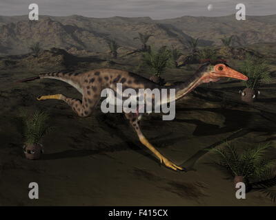 Mononykus Dinosaurier bei Nacht - 3D render Stockfoto