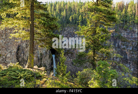 Blick auf Spahats Creek Falls, auch genannt Spahats Falls, Wells Gray Provincial Park, Britisch-Kolumbien, Kanada, Nordamerika. Stockfoto