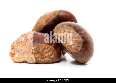 Feine Kastanien. Alle auf weißem Hintergrund Stockfoto