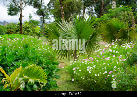 Blumenpark Stockfoto