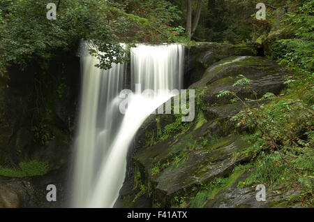 Wasserfall, Triberg, Schwarzwald Stockfoto