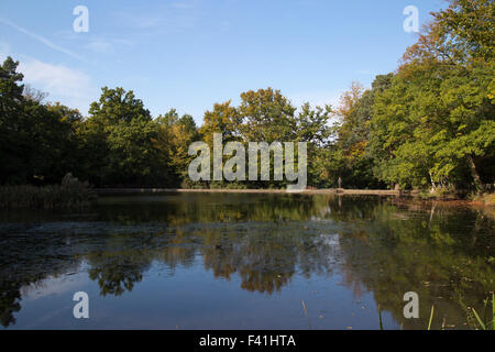 Keston Teiche im Herbst in Bromley, Kent UK Stockfoto