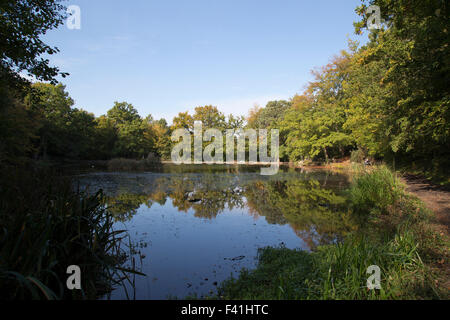 Keston Teiche im Herbst in Bromley, Kent UK Stockfoto