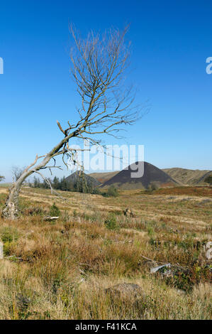 Zeche-Tipps aus der Llanbradach Zeche, Rhymney Valley in der Nähe von Caerphilly, South Wales, UK. Stockfoto