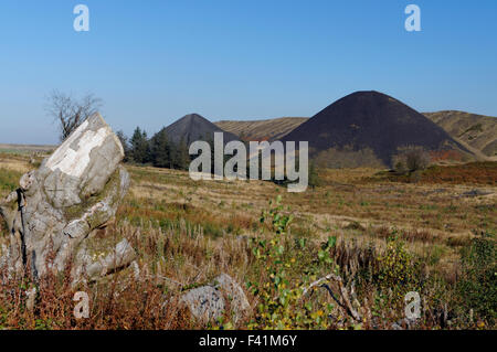 Zeche-Tipps aus der Llanbradach Zeche, Rhymney Valley in der Nähe von Caerphilly, South Wales, UK. Stockfoto