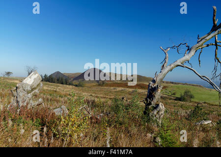 Zeche-Tipps aus der Llanbradach Zeche, Rhymney Valley in der Nähe von Caerphilly, South Wales, UK. Stockfoto