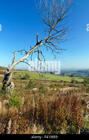 Blick Richtung Norden nach Ystrad Mynach und Rhymney Tal vom Hügel oberhalb Llanbradach, South Wales Valleys, UK. Stockfoto