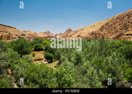 Oase im Dades Schlucht, Dades Tal, Oasenband-du-Dades hinter, Marokko Stockfoto