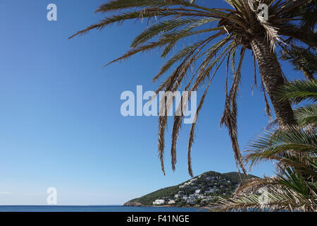 Blick auf Palmen und Meer von der Promenade in "Santa Eulària des Riu" "Santa Eulalia del Río" Ibiza Stockfoto