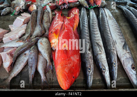 Fangfrischen Fisch zum Verkauf am Fischmarkt, Sir Selwyn Selwyn Clarke Market, Victoria, Mahé, Seychellen Stockfoto