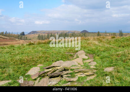 Zeche-Tipps aus der Llanbradach Zeche, Rhymney Valley in der Nähe von Caerphilly, South Wales, UK. Stockfoto