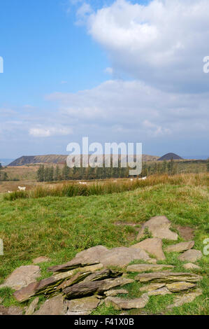 Zeche-Tipps aus der Llanbradach Zeche, Rhymney Valley in der Nähe von Caerphilly, South Wales, UK. Stockfoto