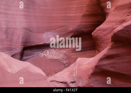 A ausgetrocknet Wasserloch mit gerissenen Schlamm innen glatt Sandstein von Canyon X befindet sich in Page, AZ. Stockfoto