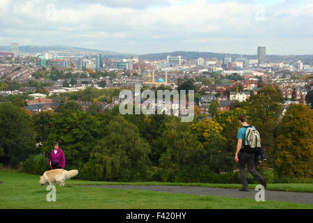 Th-Skyline von Sheffield Stadtzentrum vom Meersbrook Park, Sheffield, South Yorkshire England UK Stockfoto