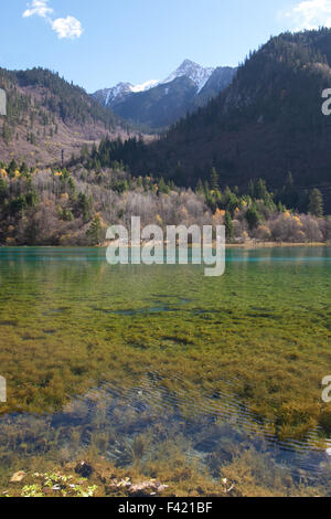Bunte See in Jiu Zhai Gou, Sichuan, China Stockfoto