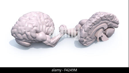 zwei halbe Gehirn, aus denen Arm wrestling, 3d Illustration Stockfoto