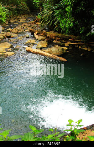 Sieben Schwestern-Wasserfall-Wanderung im Grand Etang Nationalpark in St. George auf der Karibik Insel Grenada Stockfoto