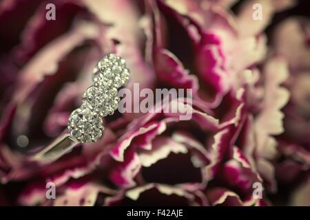 Eine Nahaufnahme von einem Diamant-Verlobungsring Stockfoto