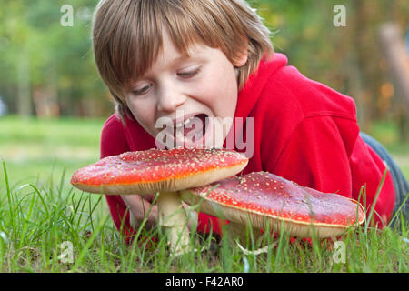 kleiner Junge vorgibt, Fliegenpilz Essen Stockfoto