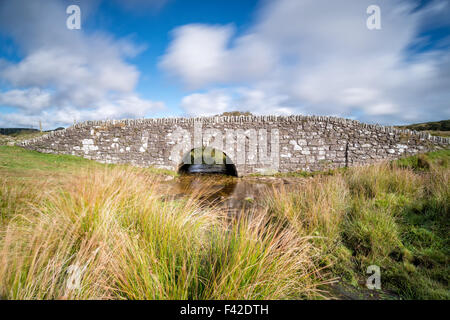 Eine Langzeitbelichtung Tempel Brücke über Bodmin Moor in Cornwall Stockfoto