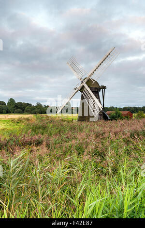 Herringfleet Windmühle im Schilf auf der Suffolk Broads Stockfoto