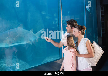 Glückliche Familie Aquarium betrachten