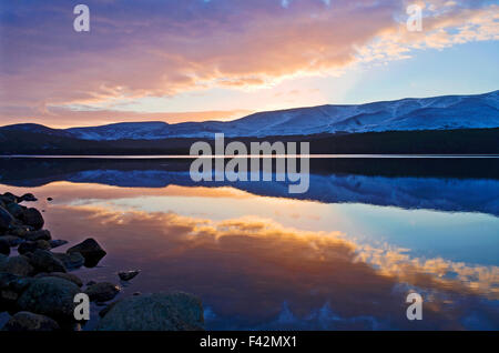 Schönen Winter Dämmerung, reflektiert Loch Morlich Cairngorms im Stillwasser, Schottisches Hochland, Schottland, Vereinigtes Königreich Stockfoto