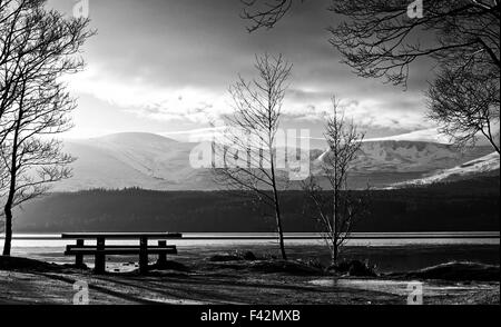 Blick vom einen Picknickplatz von Loch Morlich auf Schnee bedeckten Cairngorm und der nördlichen Hochgebirgsflora, Winter, am frühen Morgen, Schottland, Vereinigtes Königreich Stockfoto