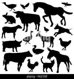 Satz von Bauernhof-Tiere-silhouette Stockfoto