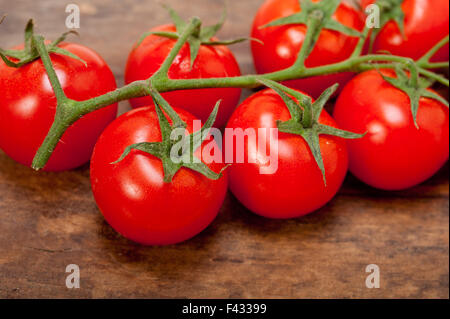 frische Kirschtomaten auf einem cluster Stockfoto