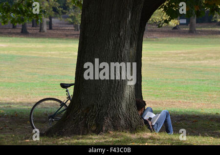 Mann mit Fahrrad sitzt Lesung gegen einen Baum im Prospect Park in Brooklyn Stockfoto