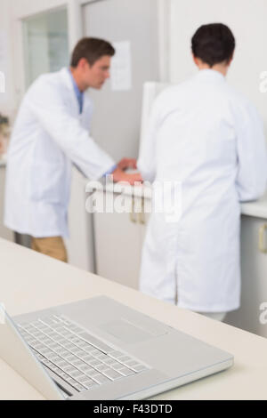 Wissenschaftler arbeiten aufmerksam Stockfoto