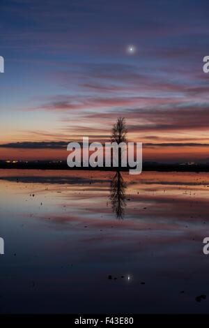 Landschaft mit Reisfeldern an der Ebro-Delta in Spanien nach Einbruch der Dunkelheit Stockfoto