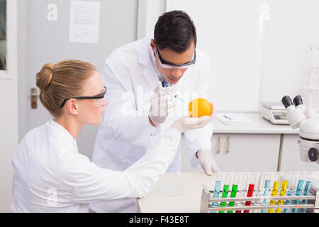 Wissenschaftler, die Injektion von Orange zu konzentrieren Stockfoto